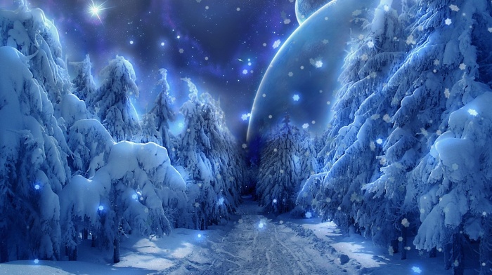 space, forest, path, dirt road, snow, ice, planet