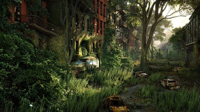 nature, overgrown, forest, Crysis 3