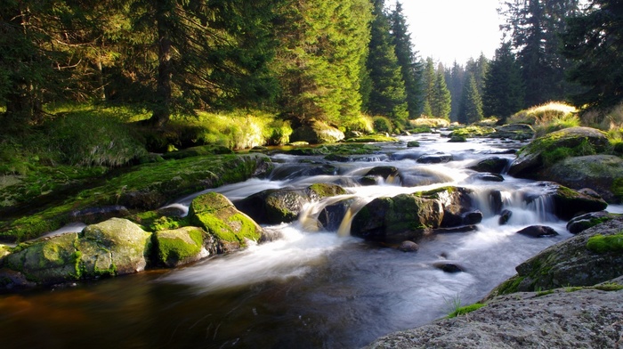 landscape, river