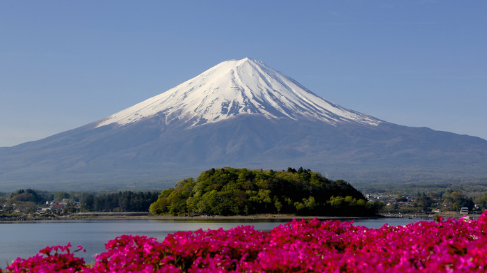 snow, volcano, sky, forest, nature, flowers, island, Japan, trees