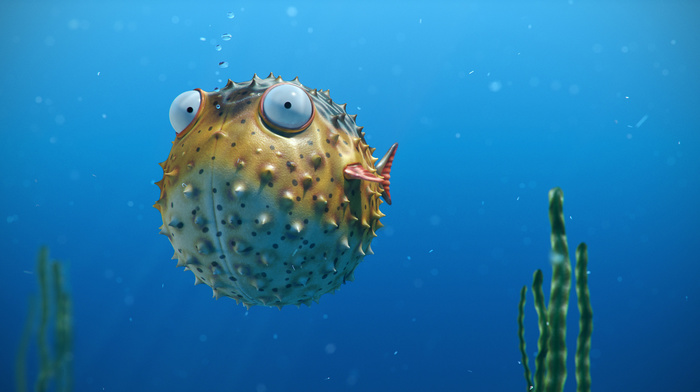 fish, 3D, ball, sea, eyes