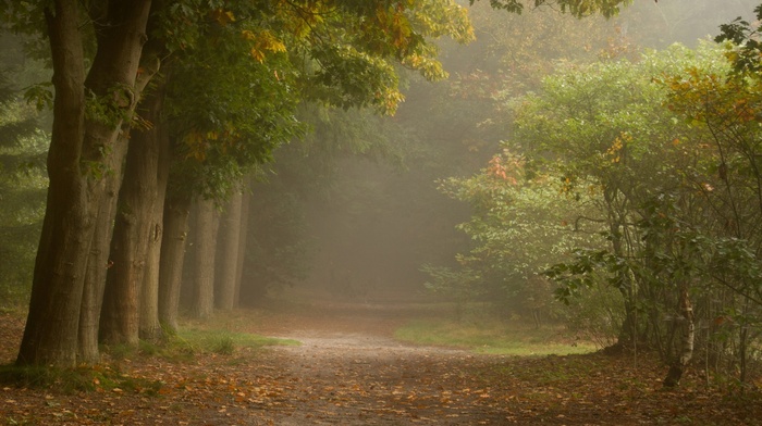 nature
