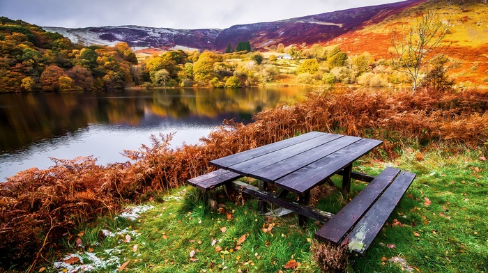 nature, landscape, table, bench, lake