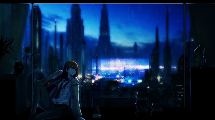 steinsgate, Makise Kurisu, anime