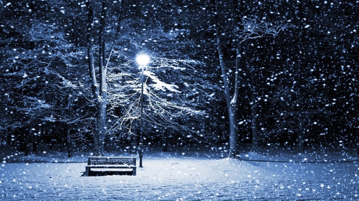lantern, trees, winter, snow, cold