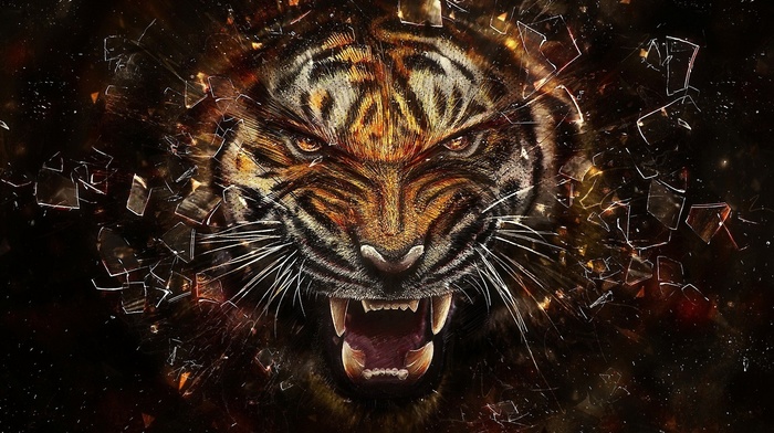 3D, tiger