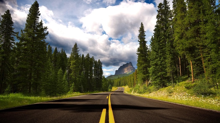 nature, road, trees, Canada