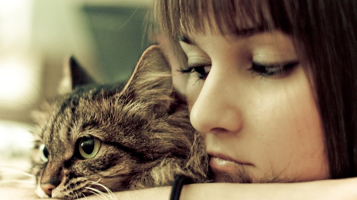 girl, brunette, cat