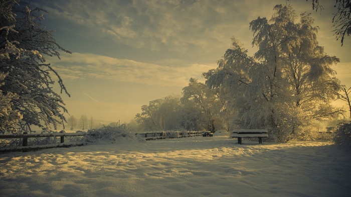 snow, nature, winter