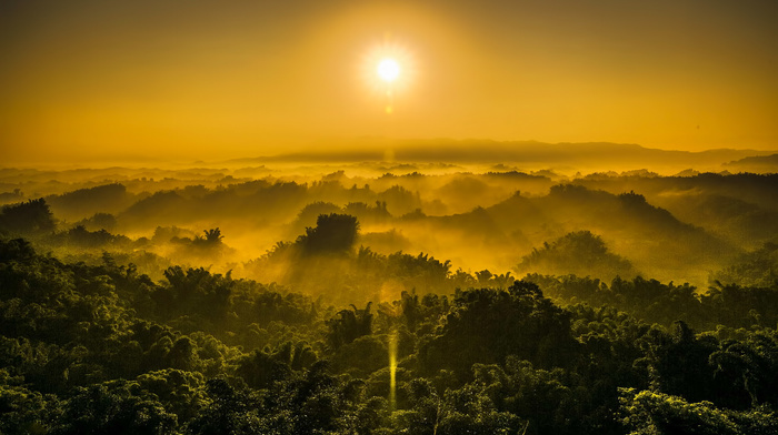 sky, nature, Sun, dawn, mountain, forest, mist, jungle