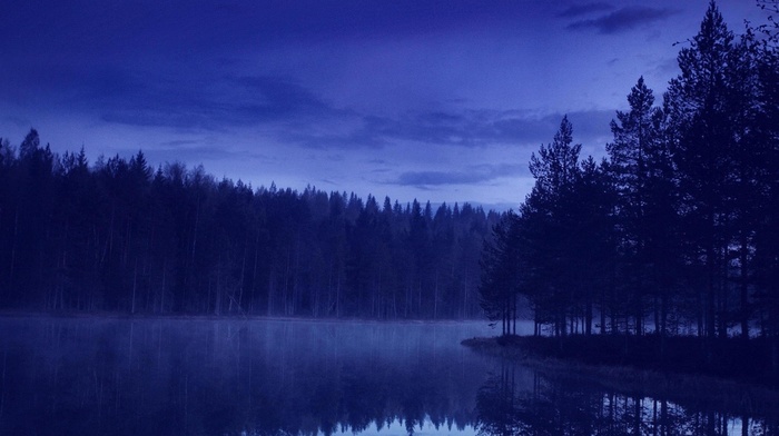 landscape, blue, water, forest, evening, reflection, pine trees, island, calm, nature, trees