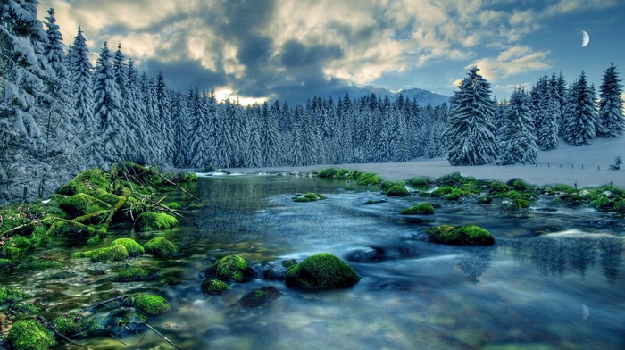 landscape, snow, river, trees, nature
