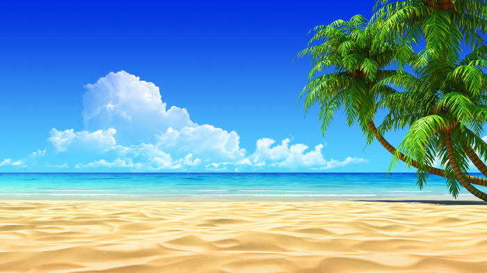 summer, shadow, clouds, sky, tropics, photoshop, ocean, palm trees, sand