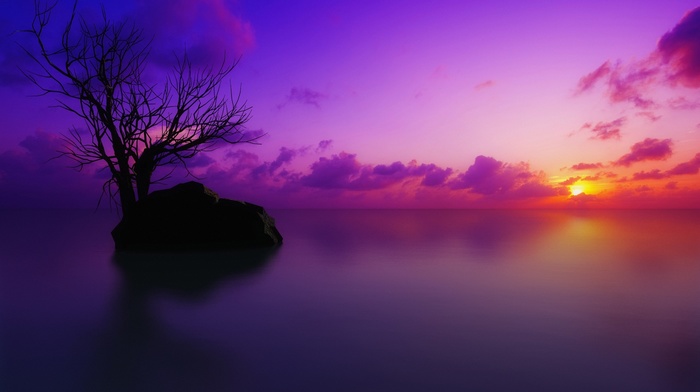sunset, sea, trees, water