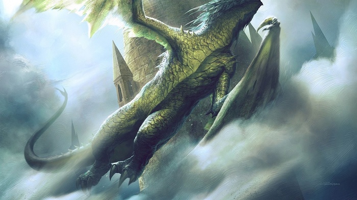 dragon, Wyvern, fantasy art