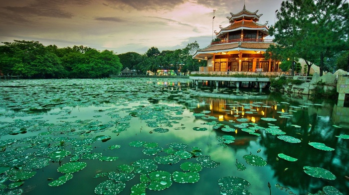 lights, nature, pond, landscape, park