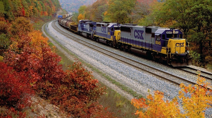 train, nature