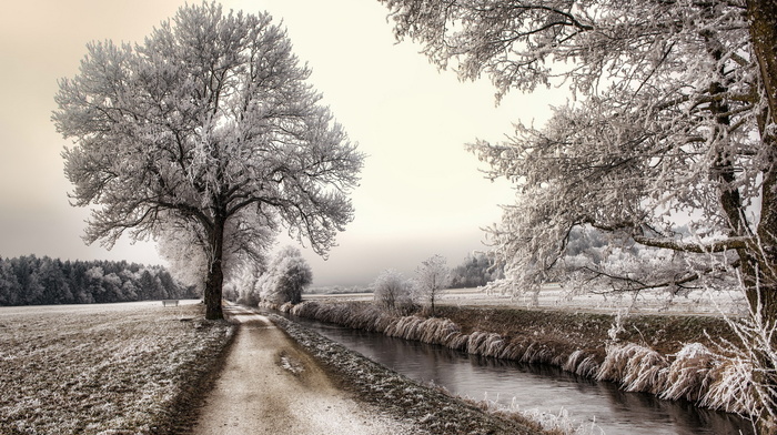 nature, road, landscape, trees