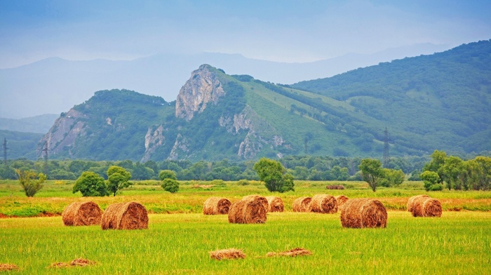 mountain, field, nature