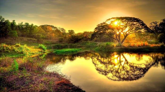 Sun, reflection, sunset, pond, nature, tree, sky