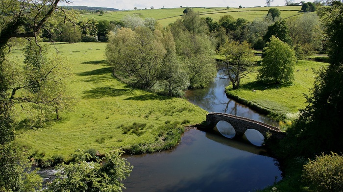 nature, river, bridge