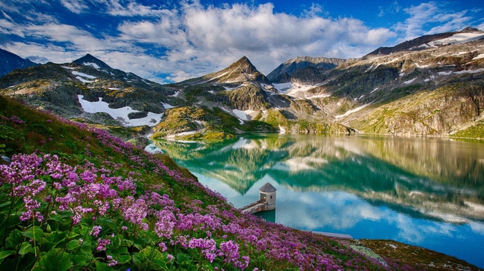 mountain, flowers, landscape, reflection, lake
