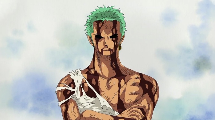 Roronoa Zoro, One Piece