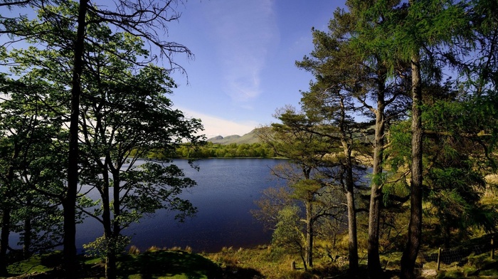 nature, landscape, trees, river