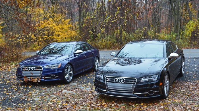 blue, Audi, black, autumn, trees, road, leaves, cars, couple