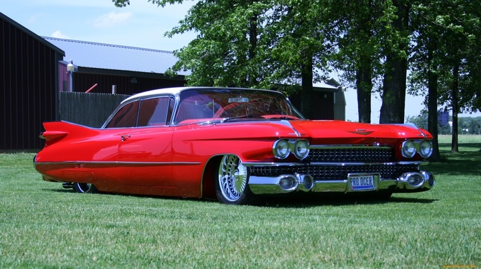 cars