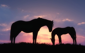 CGI, horse, silhouette, sunset