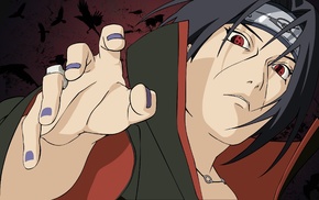Naruto Shippuuden, anime