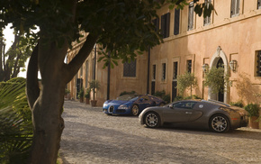 house, cars, light, tree, Bugatti Veyron