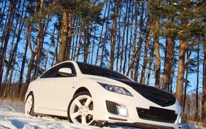 cars, snow, trees