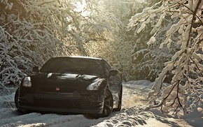 cars, auto, winter, forest