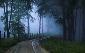 road, mist, nature