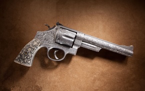 gun