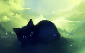 grass, animals