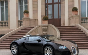 cars, Bugatti Veyron, stairs