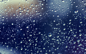drops, rain, macro