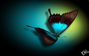 3D, butterfly, background