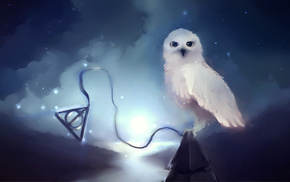 animals, background, owl