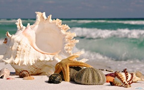 on, sea, stunner