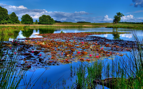 lake, nature, super