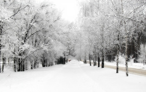 winter, snow, nature, trees
