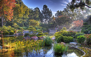 Japan, nature, pond