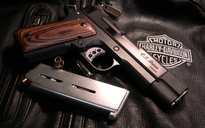 gun
