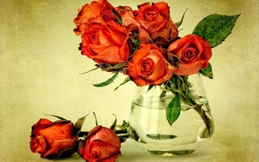 bouquet, vase, leaves, roses, flowers