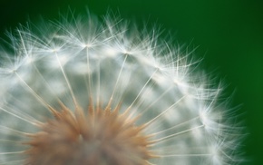 macro