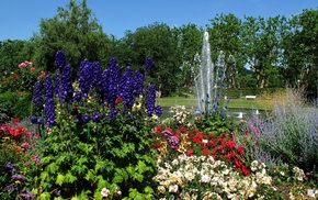 nature, park